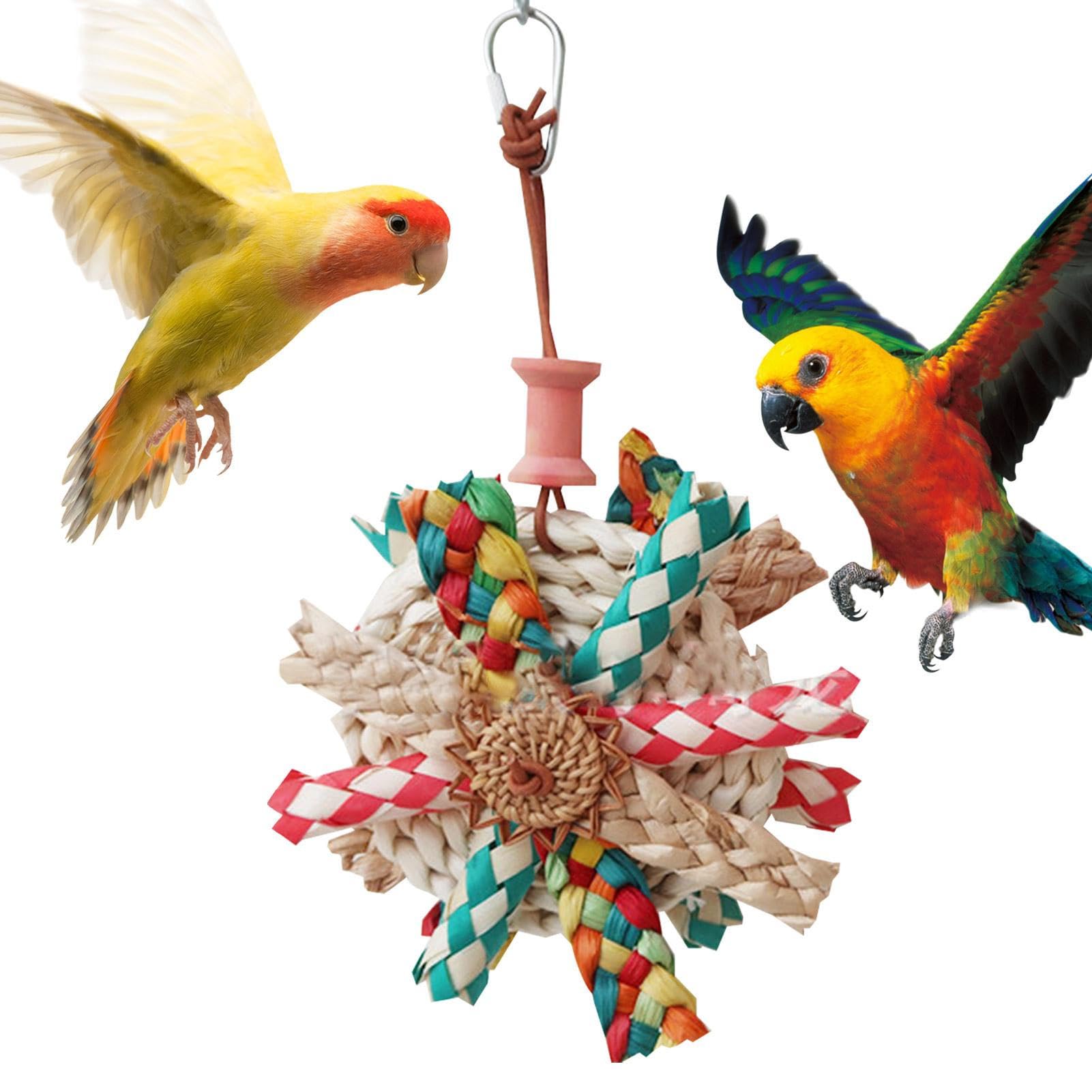 Amazon.co.jp: 鳥のストローおもちゃ,オカメインコのおもちゃ